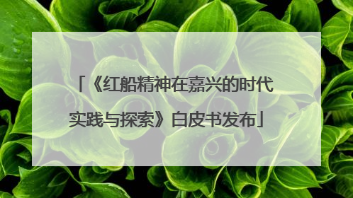 《红船精神在嘉兴的时代实践与探索》白皮书发布