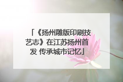 《扬州雕版印刷技艺志》在江苏扬州首发 传承城市记忆
