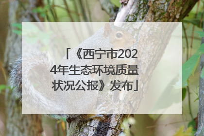 《西宁市2024年生态环境质量状况公报》发布