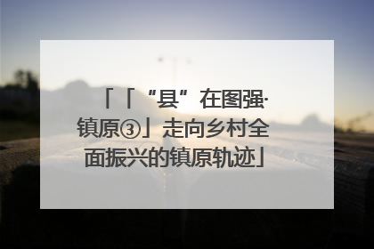 「“县”在图强·镇原③」走向乡村全面振兴的镇原轨迹