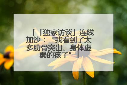 「独家访谈」连线加沙：“我看到了太多肋骨突出、身体虚弱的孩子”