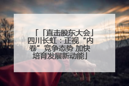 「直击股东大会」四川长虹：正视“内卷”竞争态势 加快培育发展新动能