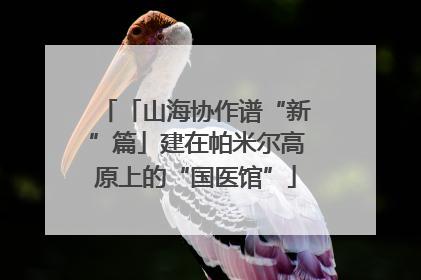 「山海协作谱“新”篇」建在帕米尔高原上的“国医馆”