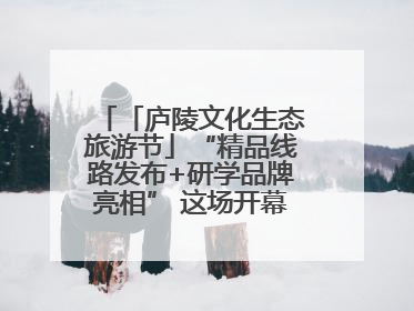 「庐陵文化生态旅游节」“精品线路发布+研学品牌亮相” 这场开幕式亮点纷呈！