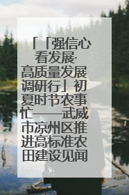 「强信心 看发展·高质量发展调研行」初夏时节农事忙——武威市凉州区推进高标准农田建设见闻