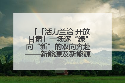 「活力兰洽 开放甘肃」一场逐“绿”向“新”的双向奔赴——新能源及新能源装备制造产业投资发展对接活动扫描
