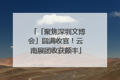 「聚焦深圳文博会」圆满收官！云南展团收获颇丰