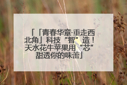 「青春华章·重走西北角」科技“智”造!天水花牛苹果用“芯”甜透你的味蕾