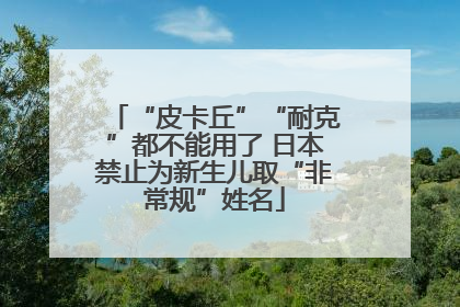“皮卡丘”“耐克”都不能用了 日本禁止为新生儿取“非常规”姓名