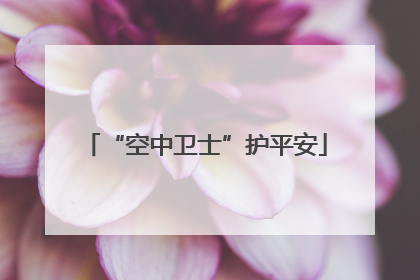 “空中卫士”护平安