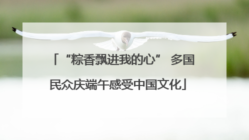 “粽香飘进我的心” 多国民众庆端午感受中国文化
