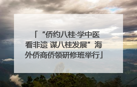 “侨约八桂·学中医 看非遗 谋八桂发展”海外侨商侨领研修班举行