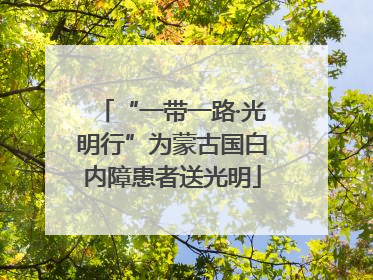 “一带一路·光明行”为蒙古国白内障患者送光明
