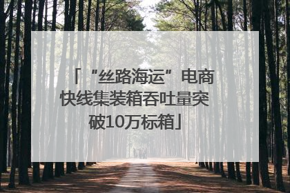 “丝路海运”电商快线集装箱吞吐量突破10万标箱