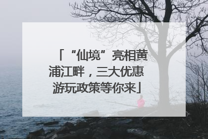 “仙境”亮相黄浦江畔，三大优惠游玩政策等你来