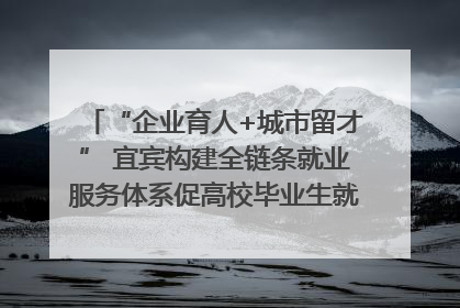 “企业育人+城市留才” 宜宾构建全链条就业服务体系促高校毕业生就业｜您牵挂的四川