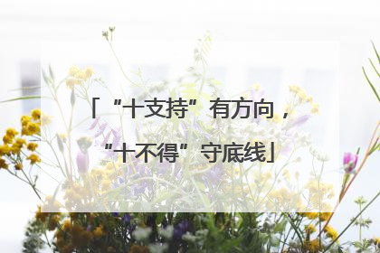 “十支持”有方向，“十不得”守底线