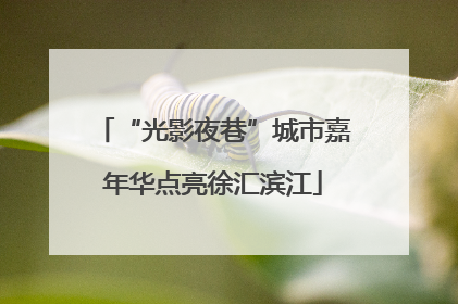 “光影夜巷”城市嘉年华点亮徐汇滨江