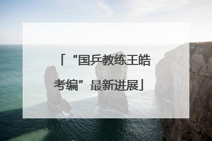 “国乒教练王皓考编”最新进展