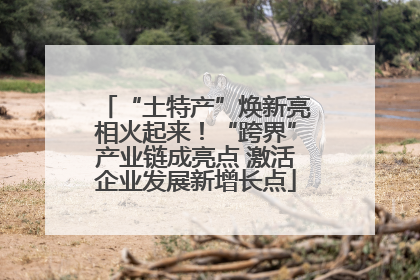 “土特产”焕新亮相火起来！“跨界”产业链成亮点 激活企业发展新增长点