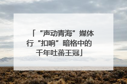 “声动青海”媒体行“扣响”暗格中的千年吐蕃王冠