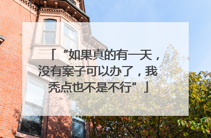 “如果真的有一天，没有案子可以办了，我秃点也不是不行”