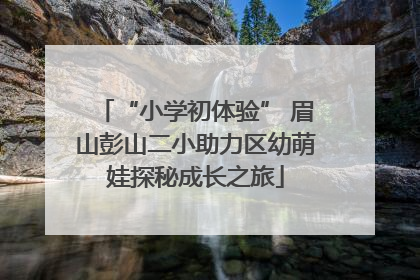 “小学初体验” 眉山彭山二小助力区幼萌娃探秘成长之旅