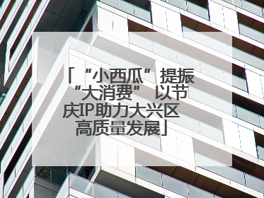 “小西瓜”提振“大消费” 以节庆IP助力大兴区高质量发展