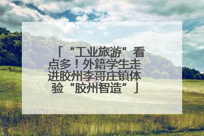 “工业旅游”看点多！外籍学生走进胶州李哥庄镇体验“胶州智造”