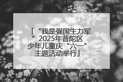 “我是强国生力军”2025年普陀区少年儿童庆“六一”主题活动举行