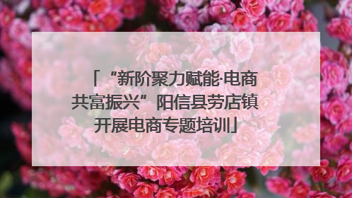 “新阶聚力赋能·电商共富振兴”阳信县劳店镇开展电商专题培训
