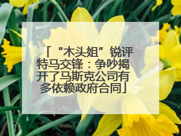 “木头姐”锐评特马交锋：争吵揭开了马斯克公司有多依赖政府合同