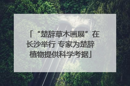 “楚辞草木画展”在长沙举行 专家为楚辞植物提供科学考据