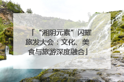 “湘阴元素”闪耀旅发大会：文化、美食与旅游深度融合