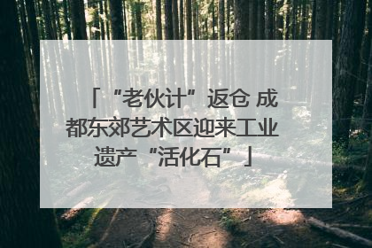 “老伙计”返仓 成都东郊艺术区迎来工业遗产“活化石”