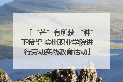 “芒”有所获 “种”下希望 滨州职业学院进行劳动实践教育活动