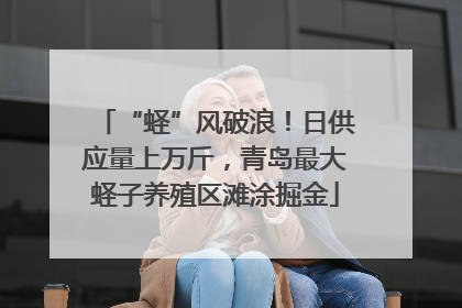 “蛏”风破浪！日供应量上万斤，青岛最大蛏子养殖区滩涂掘金