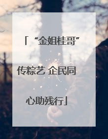 “金姐桂哥”传粽艺 企民同心助残行
