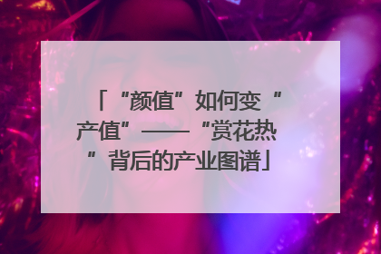 “颜值”如何变“产值”——“赏花热”背后的产业图谱
