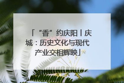 “香”约庆阳丨庆城：历史文化与现代产业交相辉映