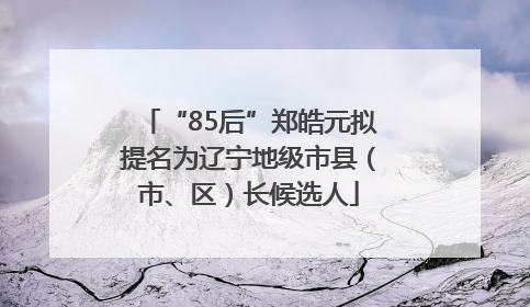 “85后”郑皓元拟提名为辽宁地级市县（市、区）长候选人