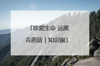 珍爱生命 远离毒蘑菇｜知识窗