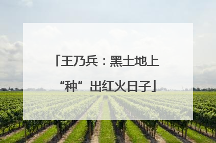 王乃兵：黑土地上“种”出红火日子