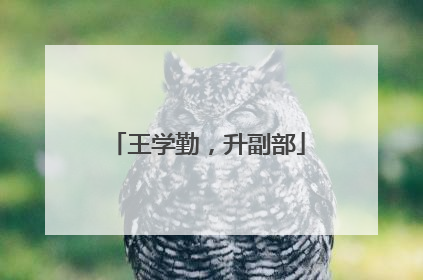 王学勤，升副部
