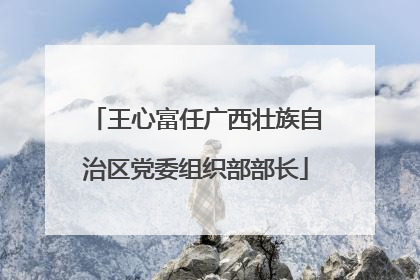 王心富任广西壮族自治区党委组织部部长