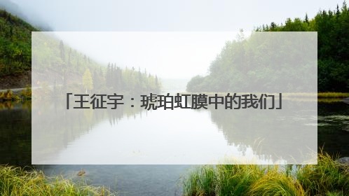 王征宇：琥珀虹膜中的我们