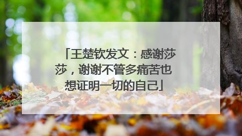王楚钦发文：感谢莎莎，谢谢不管多痛苦也想证明一切的自己