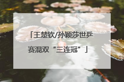 王楚钦/孙颖莎世乒赛混双“三连冠”