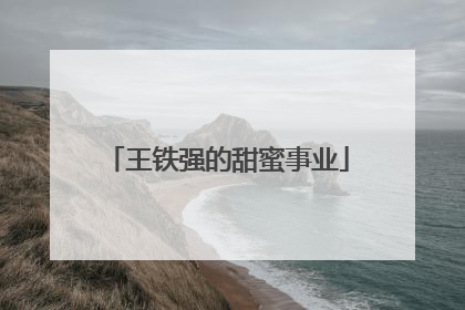 王铁强的甜蜜事业