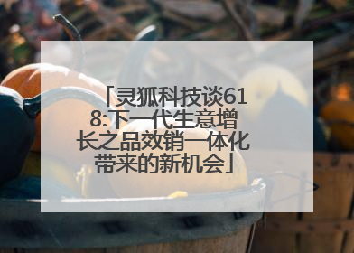 灵狐科技谈618:下一代生意增长之品效销一体化带来的新机会